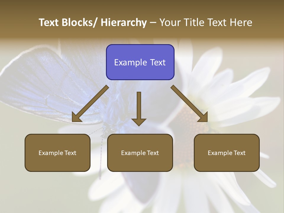 Closeup Botany Rain PowerPoint Template