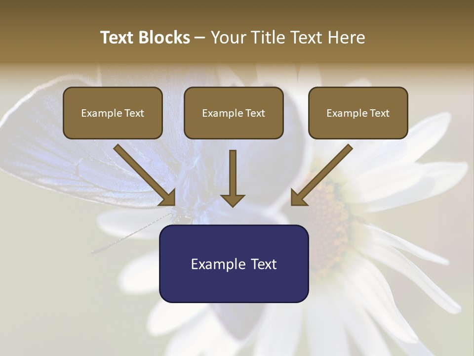 Closeup Botany Rain PowerPoint Template