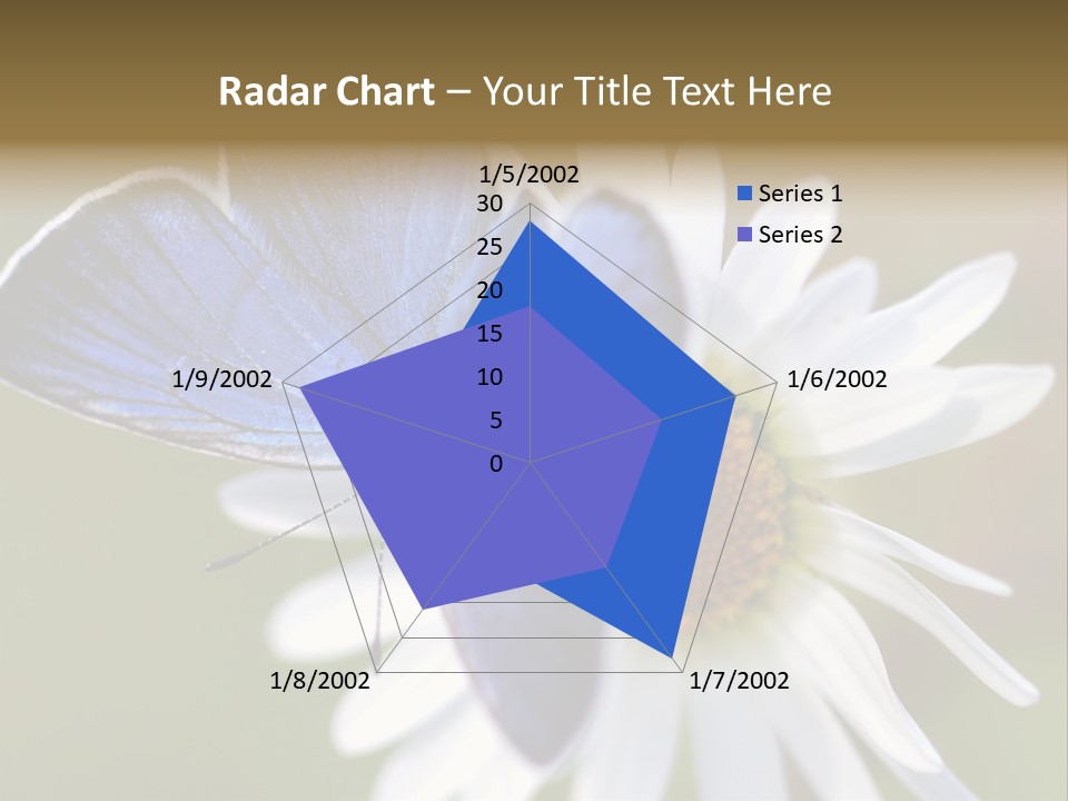 Closeup Botany Rain PowerPoint Template