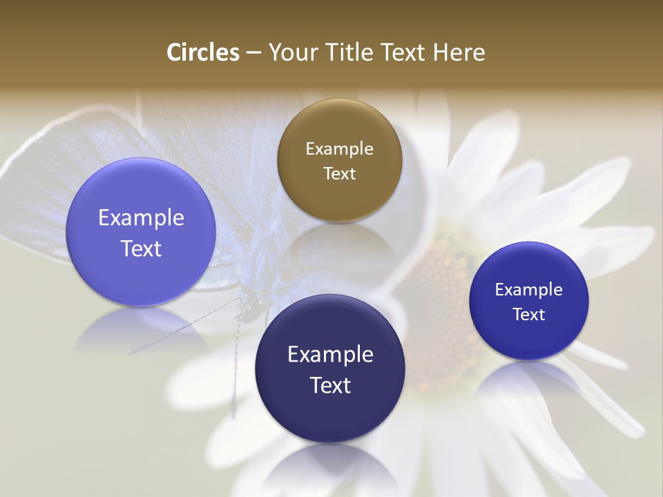 Closeup Botany Rain PowerPoint Template