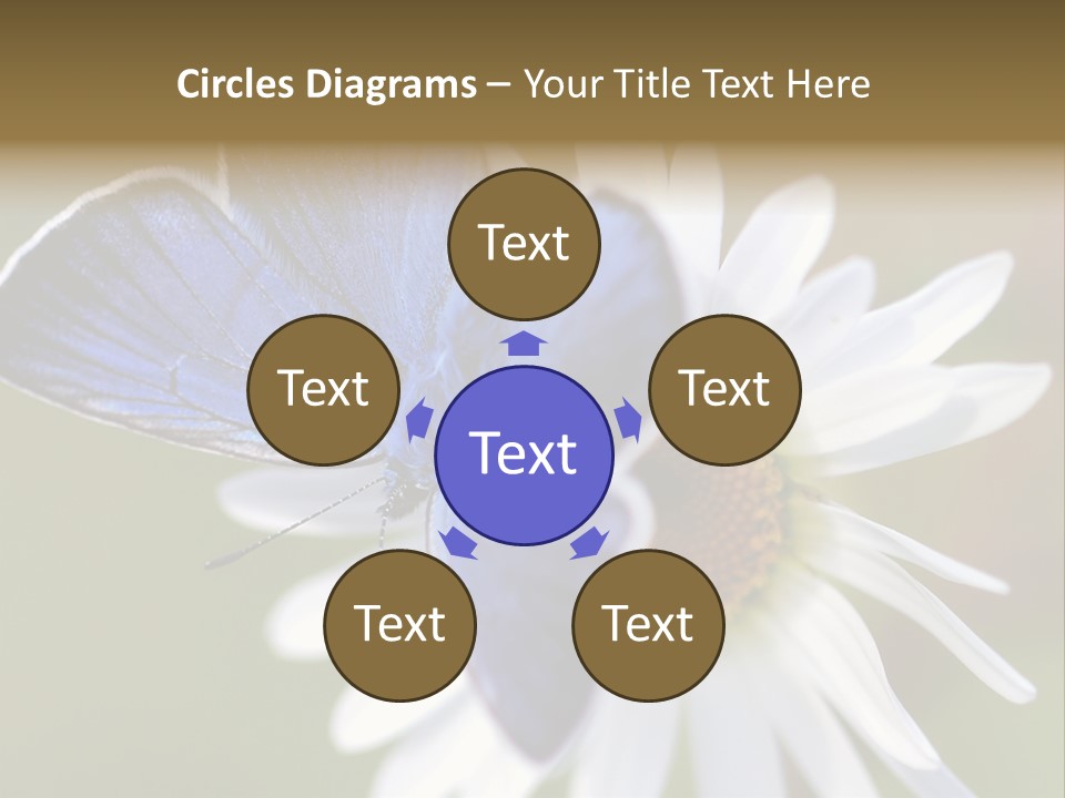 Closeup Botany Rain PowerPoint Template