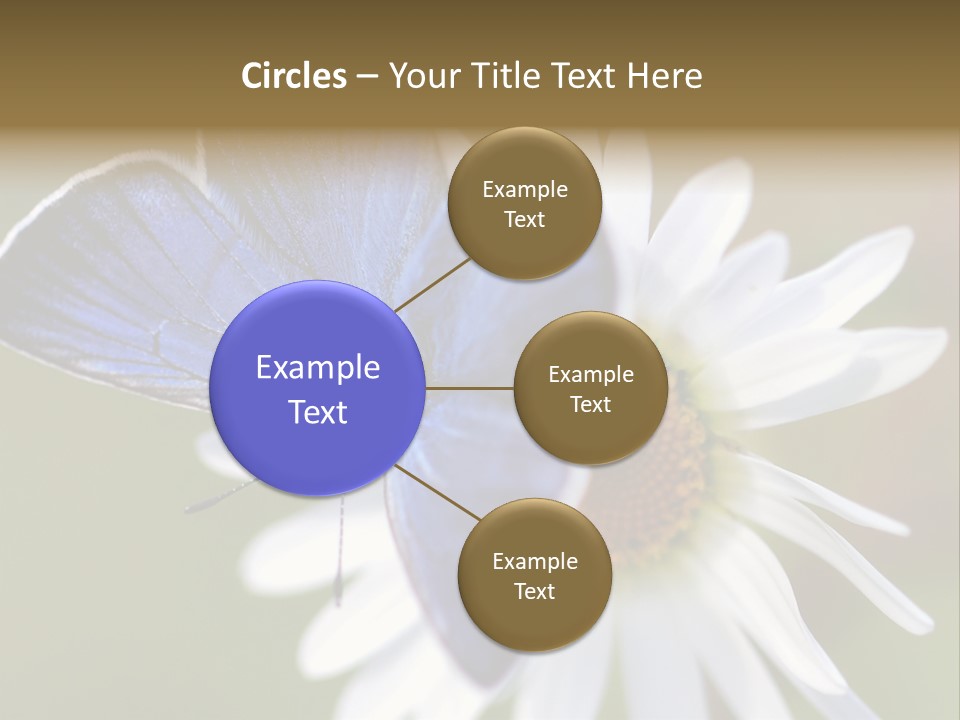 Closeup Botany Rain PowerPoint Template