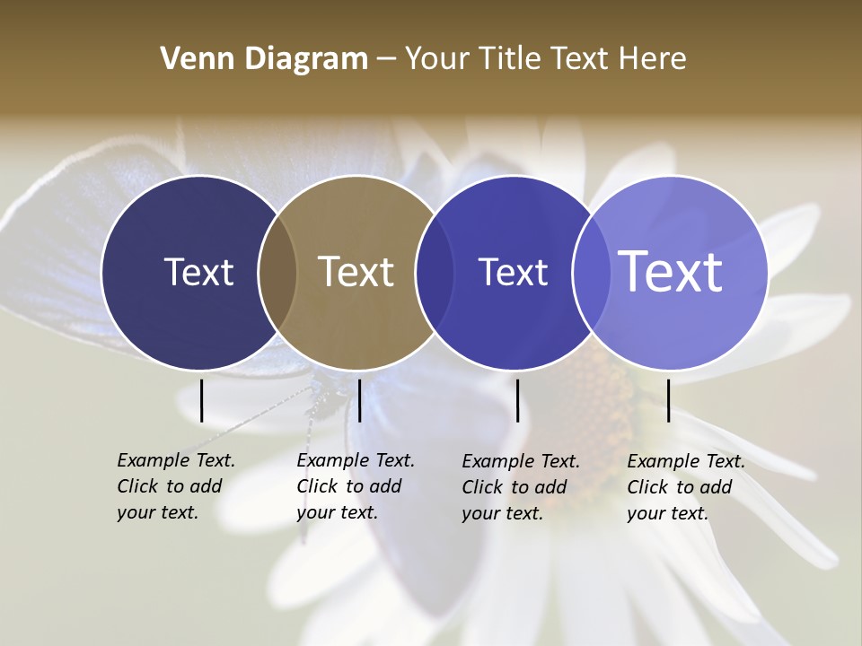 Closeup Botany Rain PowerPoint Template