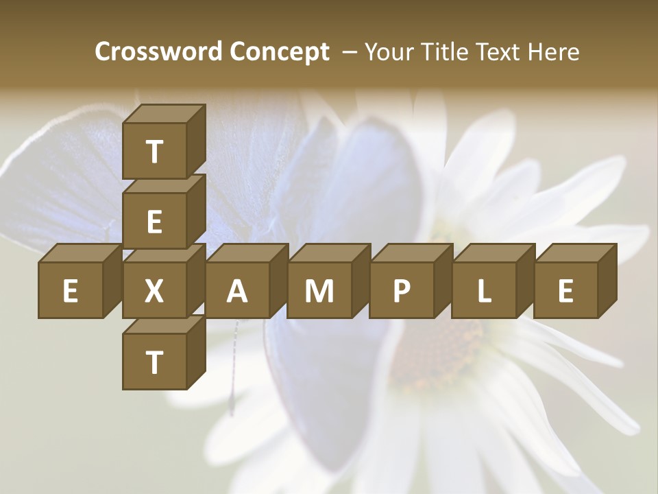 Closeup Botany Rain PowerPoint Template