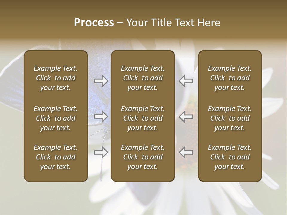 Closeup Botany Rain PowerPoint Template