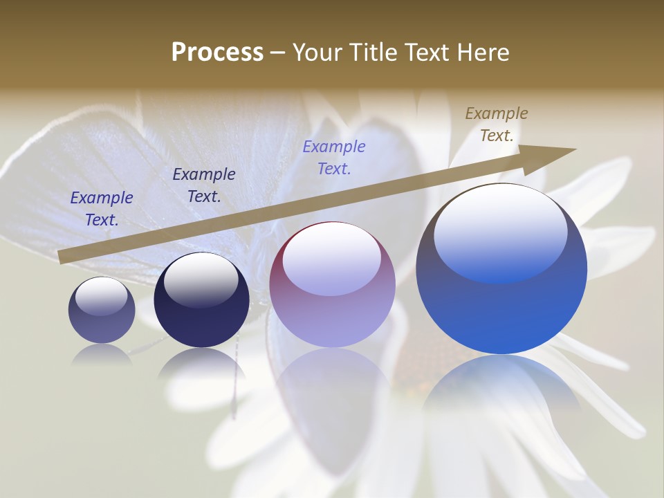 Closeup Botany Rain PowerPoint Template