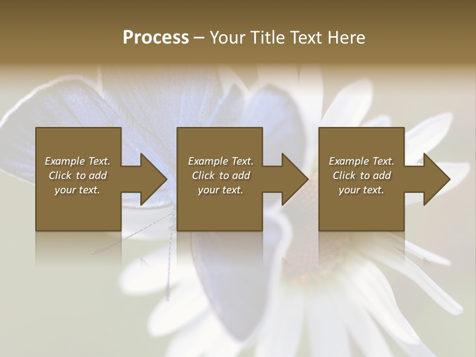 Closeup Botany Rain PowerPoint Template