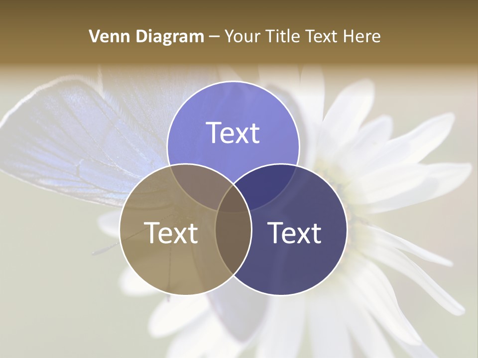 Closeup Botany Rain PowerPoint Template