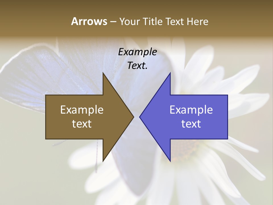 Closeup Botany Rain PowerPoint Template
