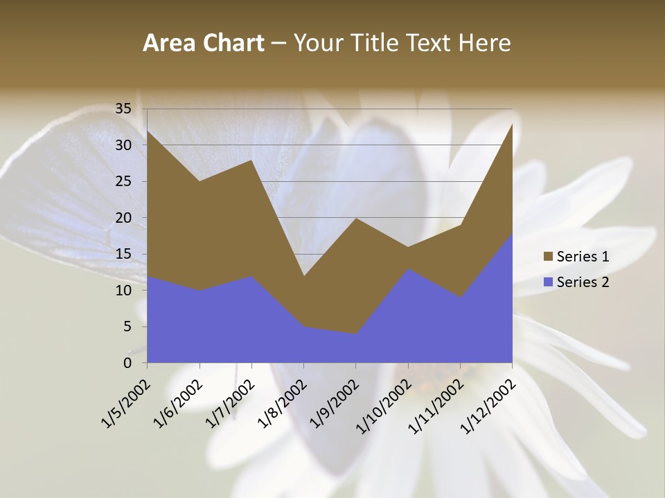 Closeup Botany Rain PowerPoint Template