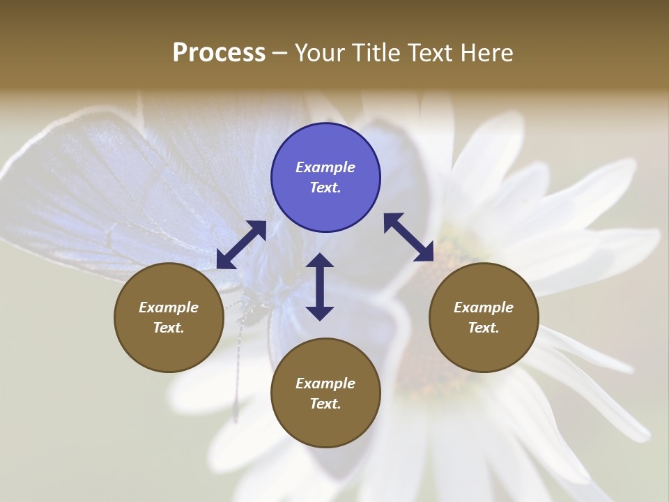 Closeup Botany Rain PowerPoint Template