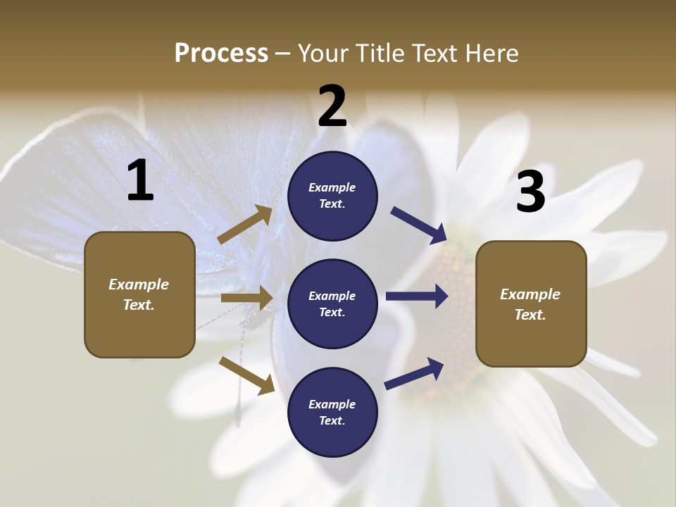 Closeup Botany Rain PowerPoint Template