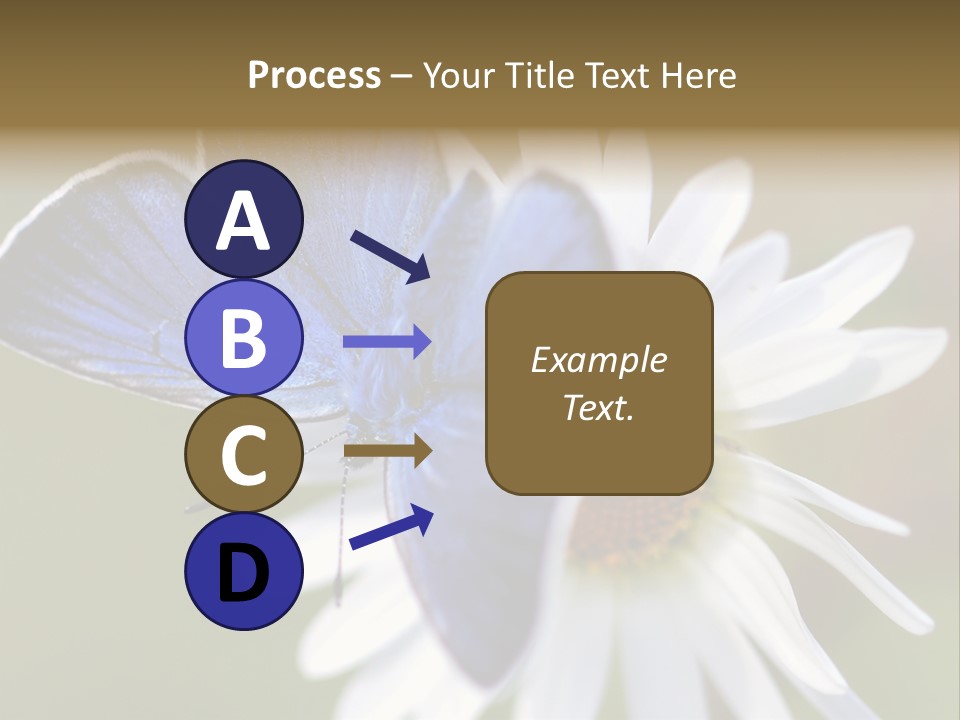 Closeup Botany Rain PowerPoint Template