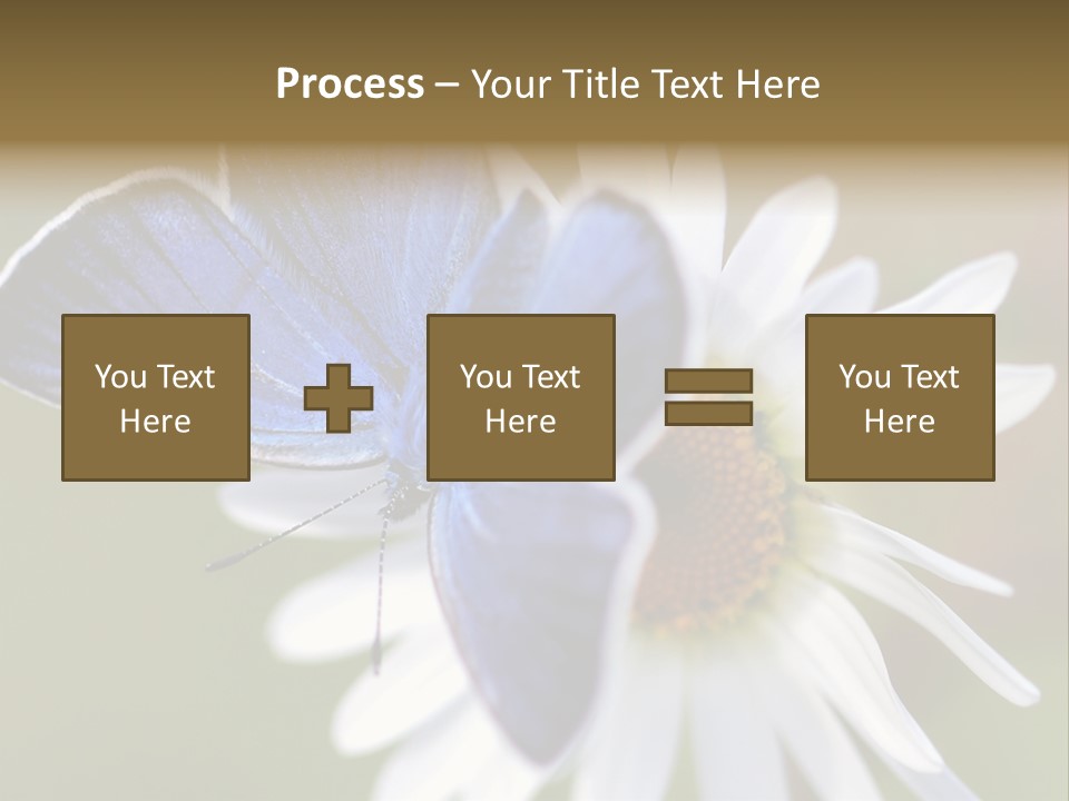 Closeup Botany Rain PowerPoint Template