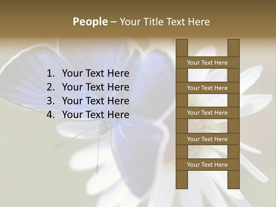 Closeup Botany Rain PowerPoint Template
