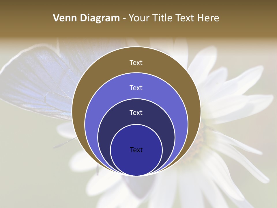 Closeup Botany Rain PowerPoint Template
