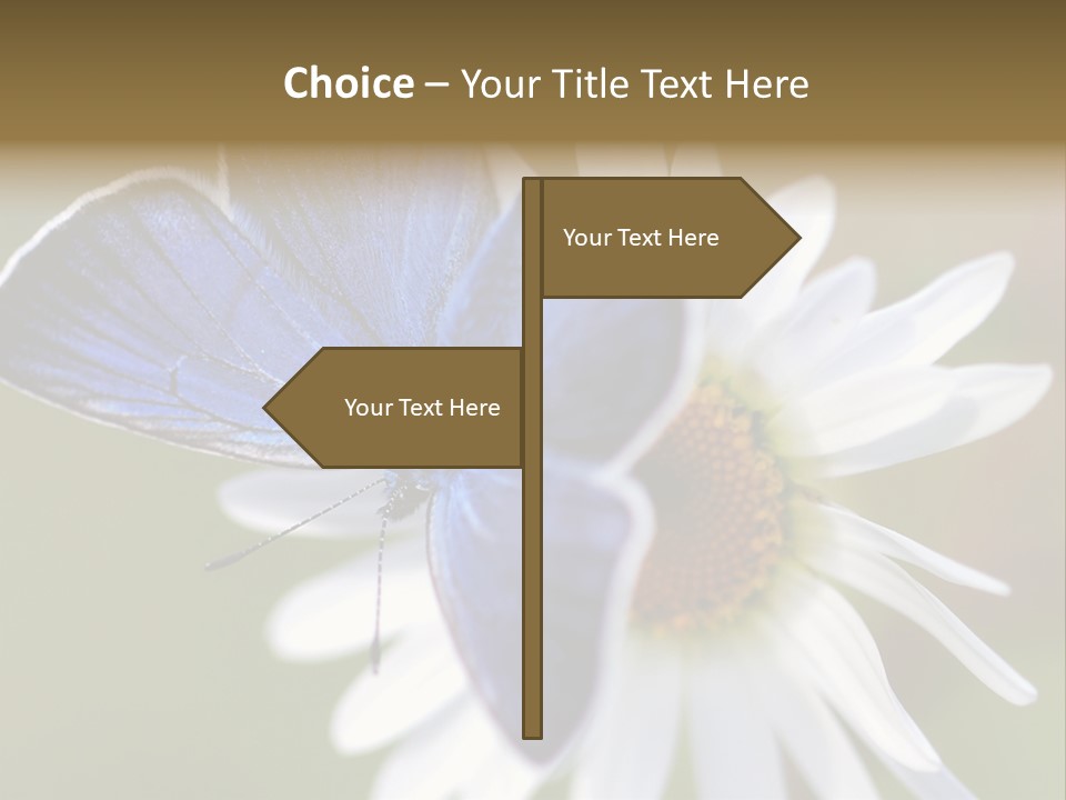 Closeup Botany Rain PowerPoint Template