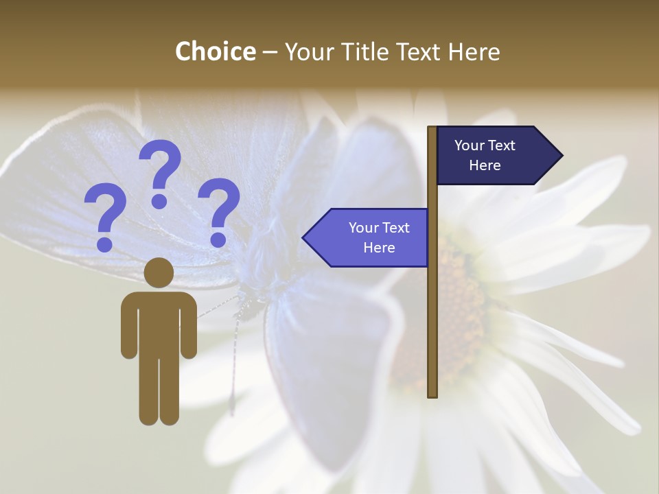 Closeup Botany Rain PowerPoint Template