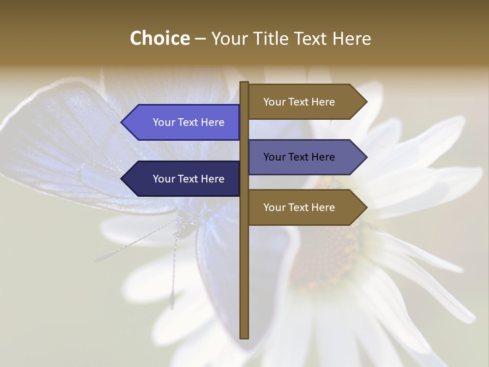 Closeup Botany Rain PowerPoint Template