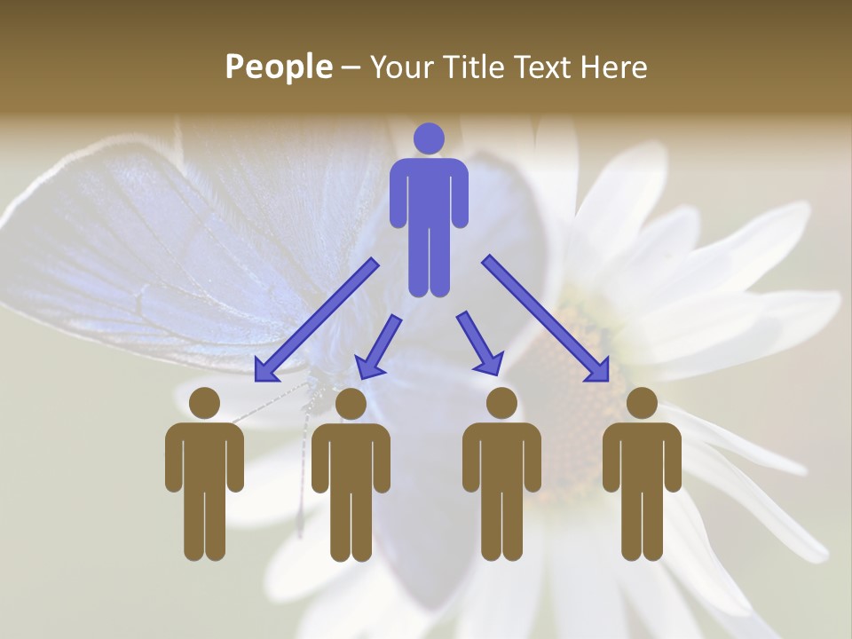 Closeup Botany Rain PowerPoint Template