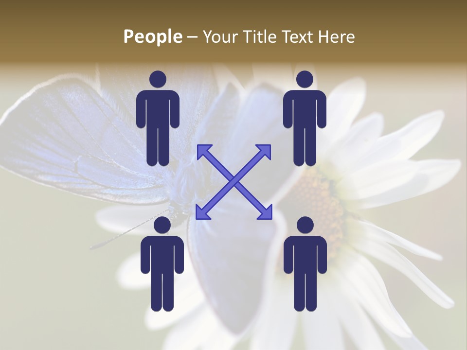 Closeup Botany Rain PowerPoint Template