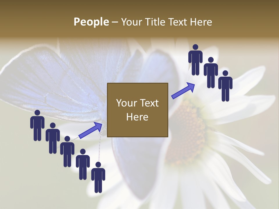 Closeup Botany Rain PowerPoint Template