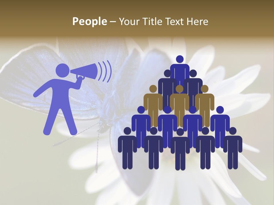 Closeup Botany Rain PowerPoint Template