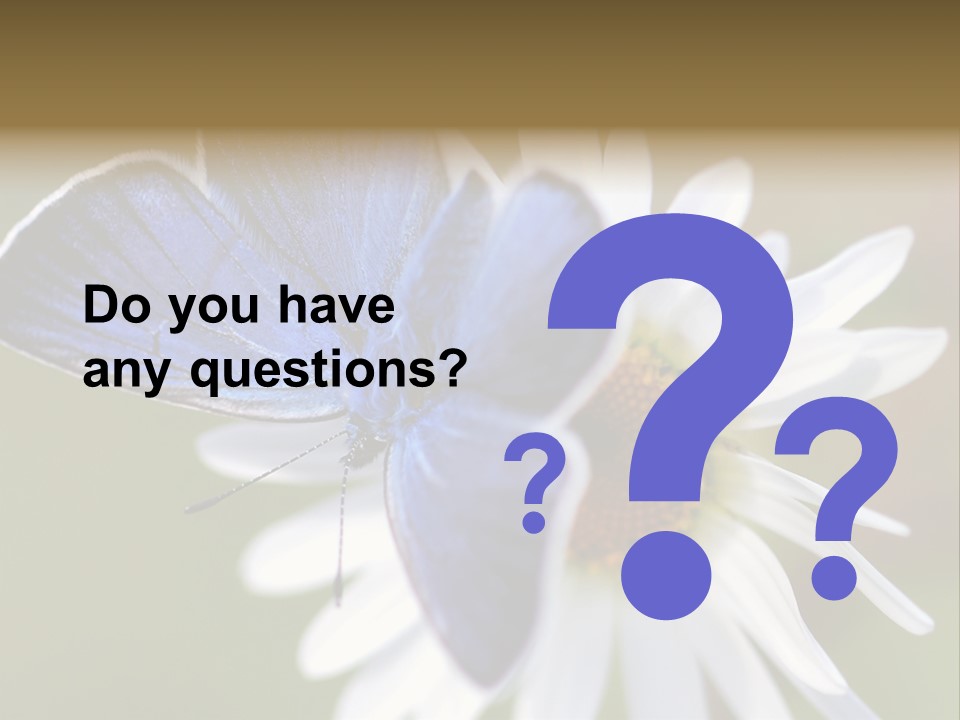 Closeup Botany Rain PowerPoint Template