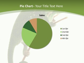 A Green Chamelon Sitting On A Branch Powerpoint Template PowerPoint Template