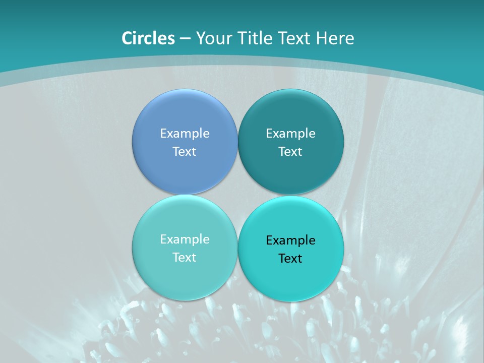 Colorful Bloom Flower PowerPoint Template