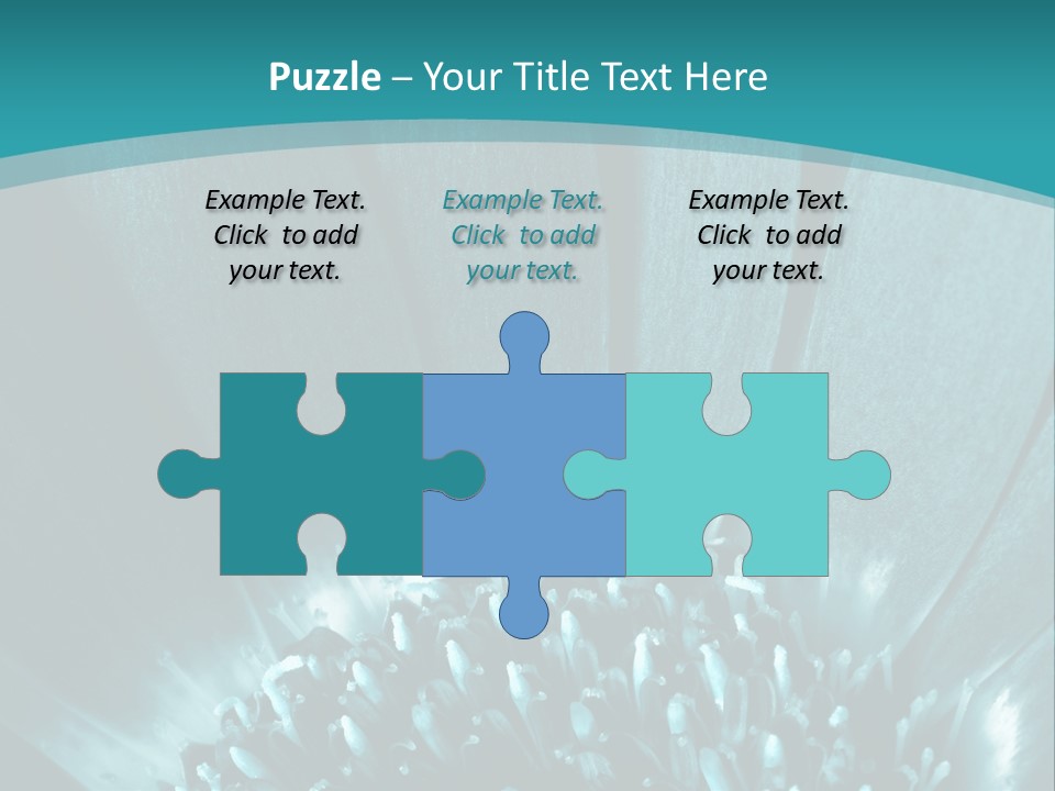 Colorful Bloom Flower PowerPoint Template