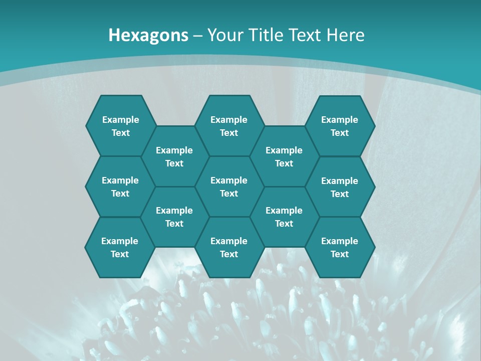 Colorful Bloom Flower PowerPoint Template