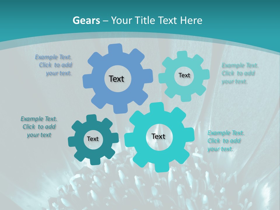 Colorful Bloom Flower PowerPoint Template