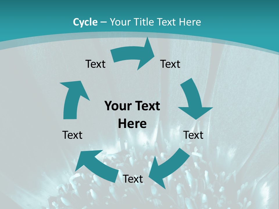 Colorful Bloom Flower PowerPoint Template