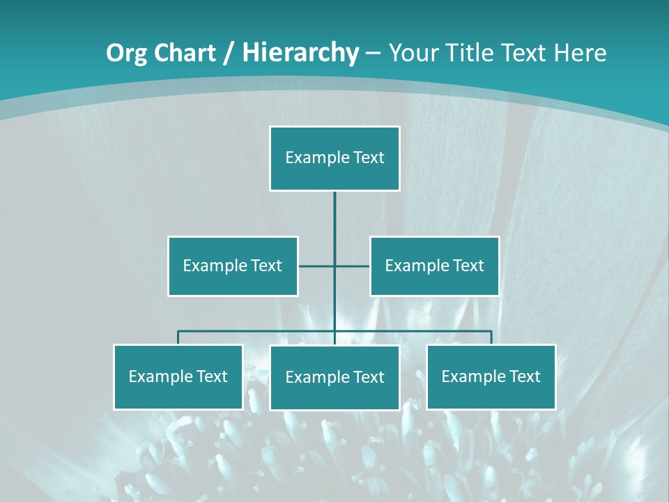 Colorful Bloom Flower PowerPoint Template