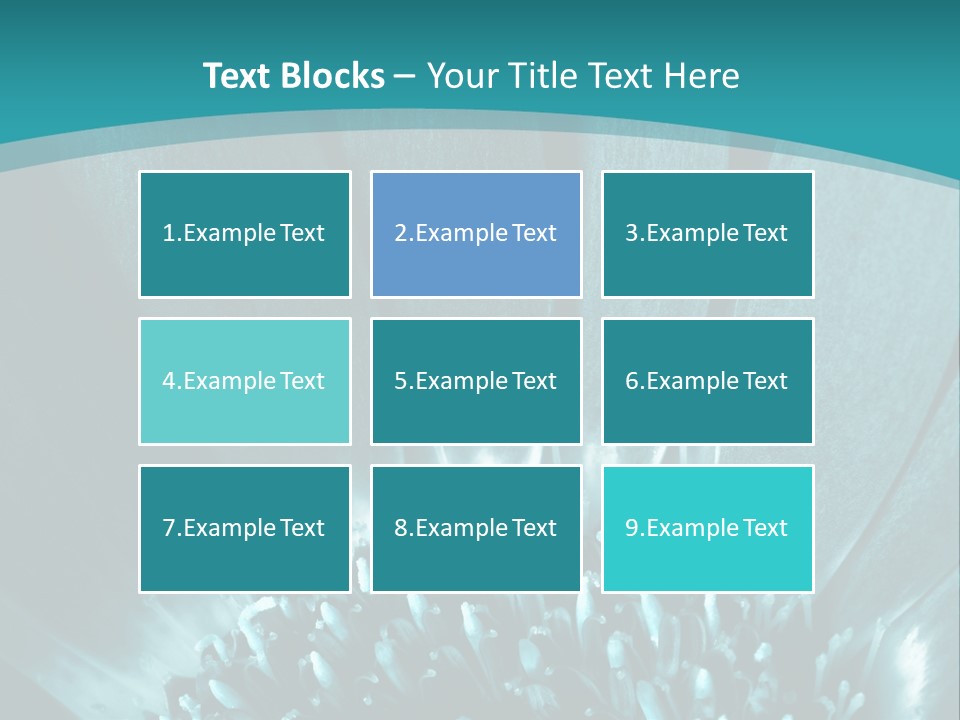 Colorful Bloom Flower PowerPoint Template