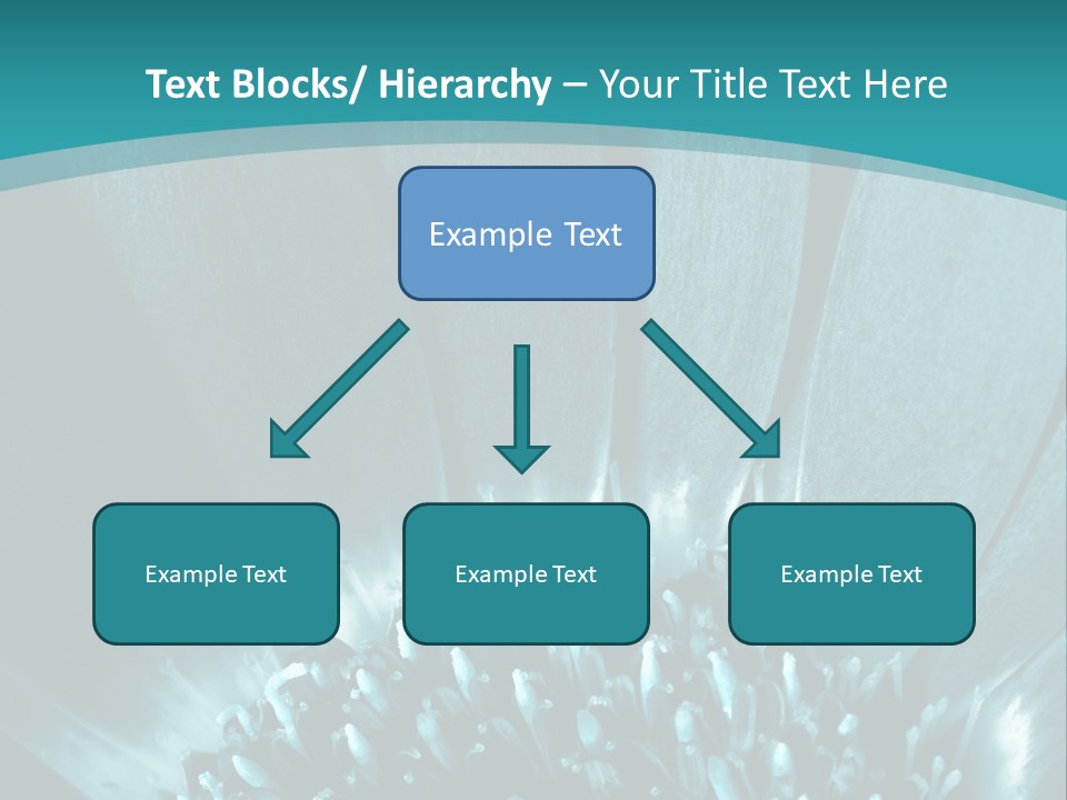 Colorful Bloom Flower PowerPoint Template