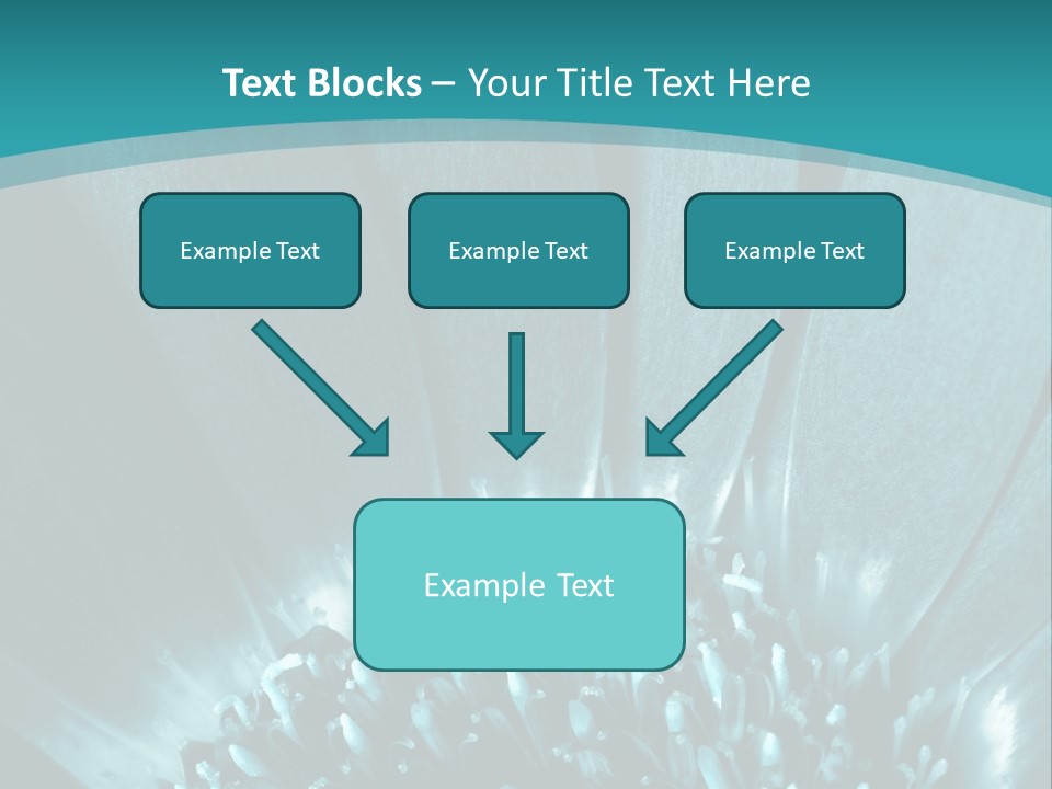 Colorful Bloom Flower PowerPoint Template