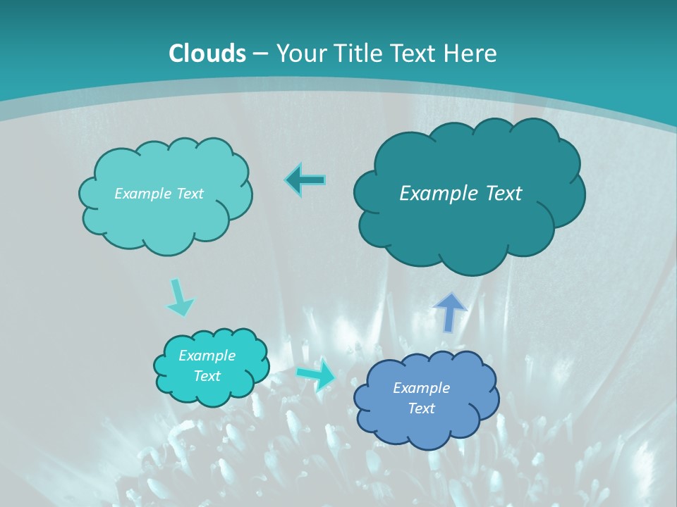 Colorful Bloom Flower PowerPoint Template