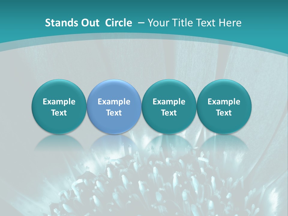 Colorful Bloom Flower PowerPoint Template