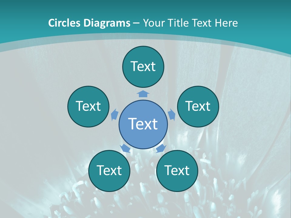 Colorful Bloom Flower PowerPoint Template