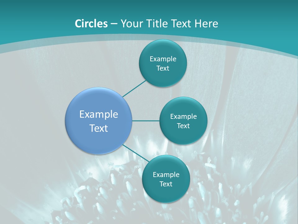 Colorful Bloom Flower PowerPoint Template