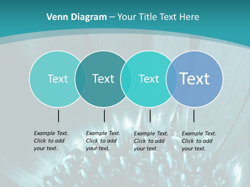 Colorful Bloom Flower PowerPoint Template