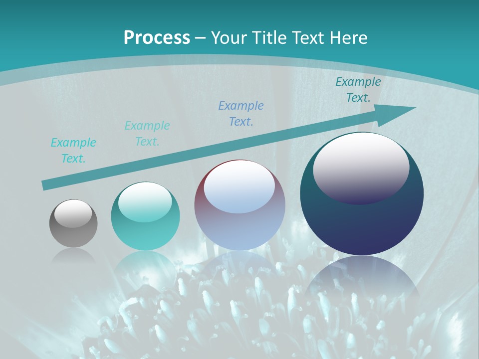 Colorful Bloom Flower PowerPoint Template
