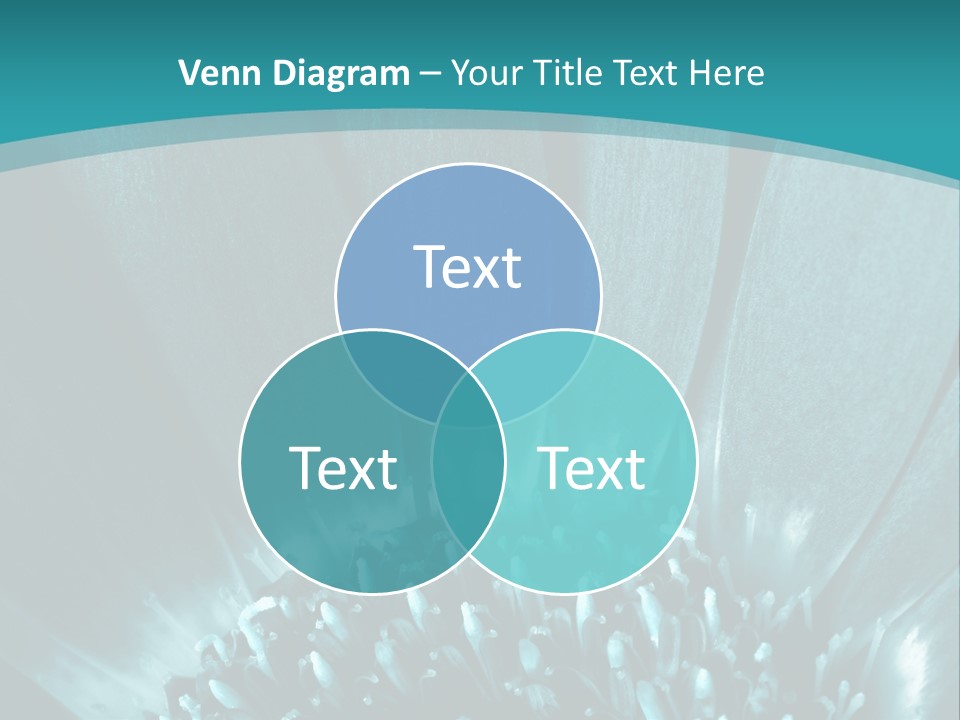 Colorful Bloom Flower PowerPoint Template