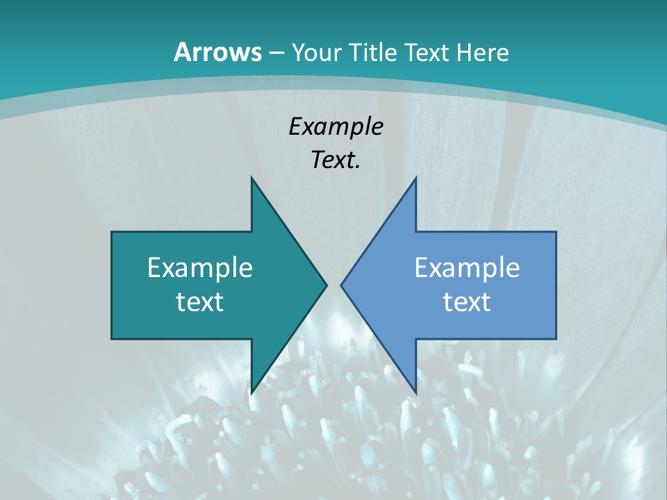 Colorful Bloom Flower PowerPoint Template