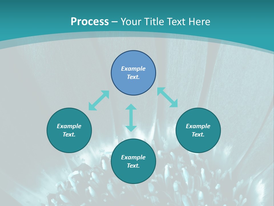 Colorful Bloom Flower PowerPoint Template