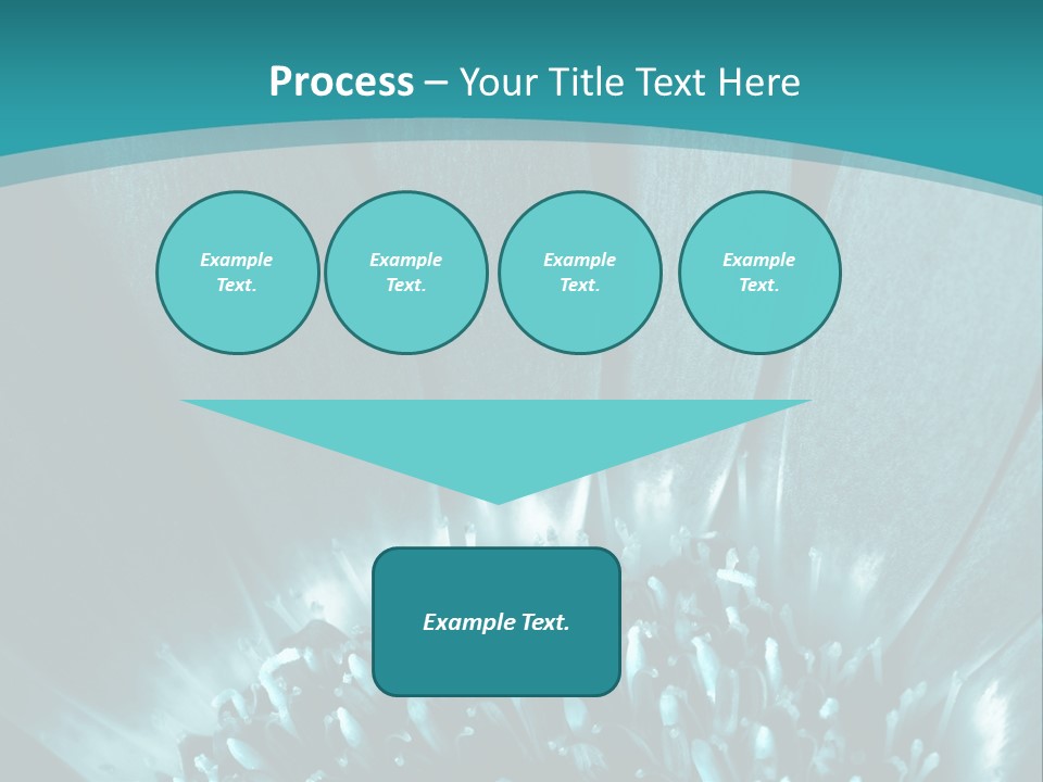 Colorful Bloom Flower PowerPoint Template