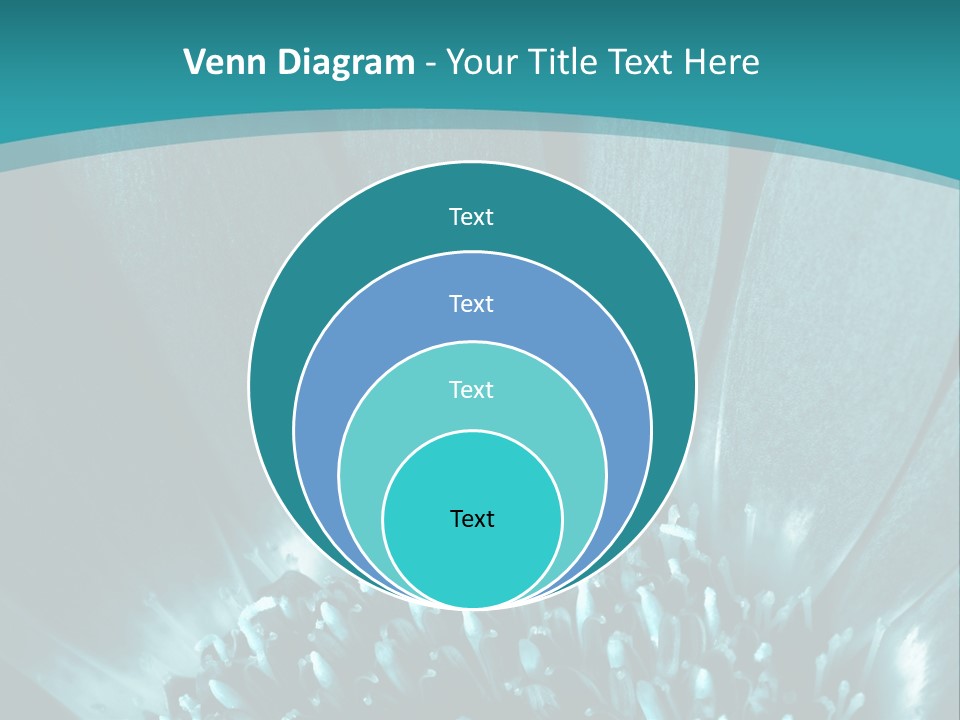 Colorful Bloom Flower PowerPoint Template