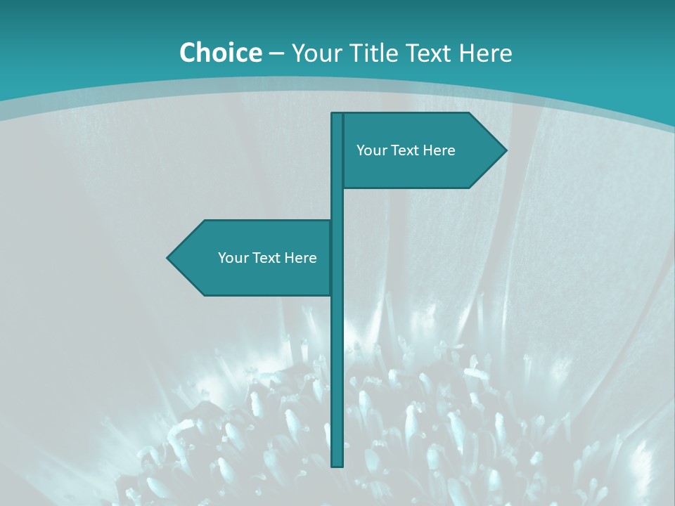 Colorful Bloom Flower PowerPoint Template